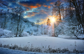Fotografie slunečné zimní krajiny