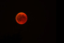 Obrázek pro článek Na noční obloze bude vidět krvavý měsíc