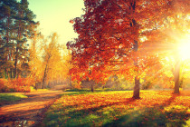Obrázek pro článek Fotogalerie podzimní krajiny