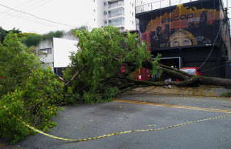 Obrázek pro článek Masivní výpadky elektřiny v Sao Paulu