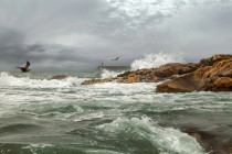 Obrázek pro článek Bouře Leonardo zasáhla Pyrenejský poloostrov