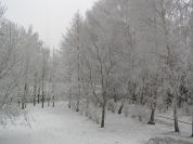 Zima v Třebíči