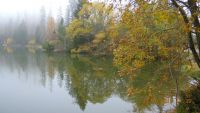 Podzimní mlha na Plešném jezeře