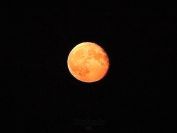 Červený Měsíc