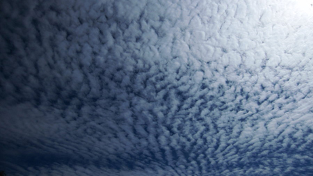 Cirrocumulus